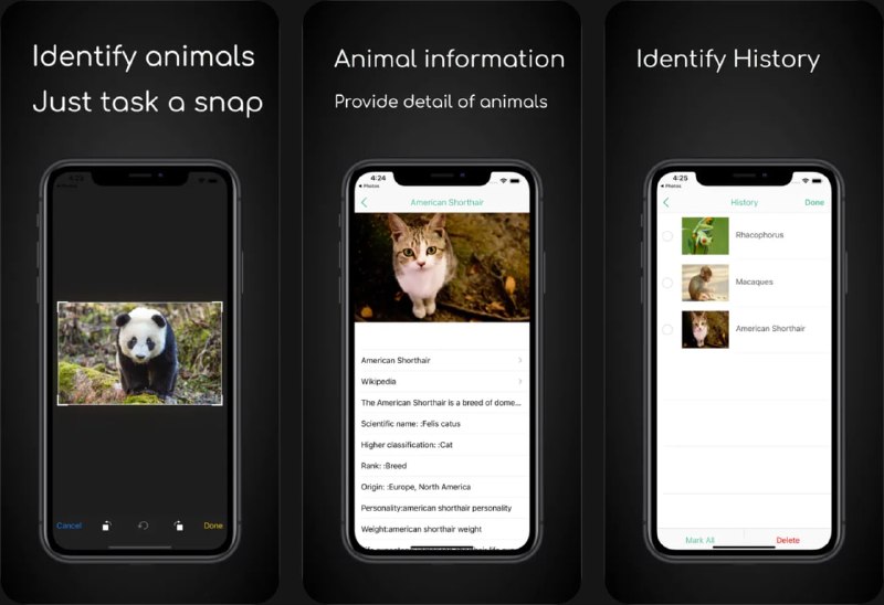  #应用限免  软件名称： iAnimal：AI 动物识别   支持平台：#iOS 15.6+  软件价格：￥18.00 -> ¥0.00  软件简介：一款 AI 驱动的动物识别应用，支持即时识别 4000+ 种动物物种（昆虫、鸟类、蝴蝶、宠物、爬行动物、蜘蛛、鱼类等）
