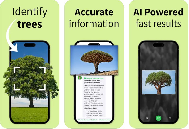  #应用限免  软件名称：Tree Identifier  支持平台：#iOS 12.0+  软件价格：内购限免  软件简介：一款快速准确地识别树木的应用