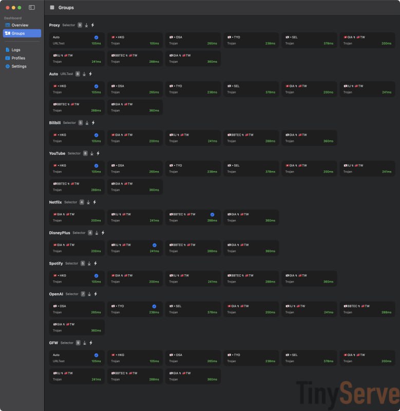  网站名称：TinyServe  网站功能：sing-box分流规则  网站简介：某大佬做的Sing-Box的分流规则，提供了详细的配置参数示例